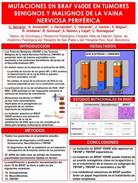 Ppt Mutaciones En Braf V E En Tumores Benignos Y Malignos De La