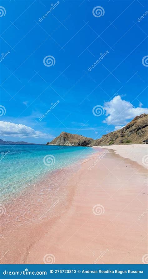 Pink Beach Labuan Bajo Indonesia Stock Image Image Of Labuan Beach