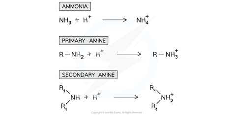 Basicity Of Amines A Level Chemistry Revision Notes