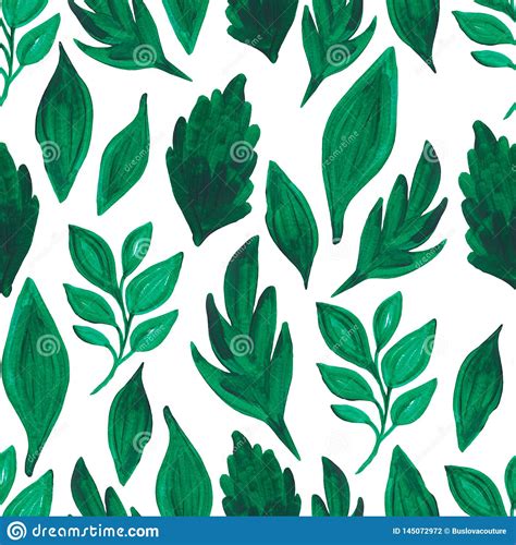 Seamless Pattern Green Leaves Branch On White Isolated Background Hand