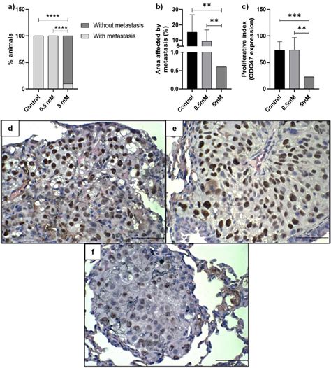 Histopathological and immunohistochemical parameters of pulmonary ...