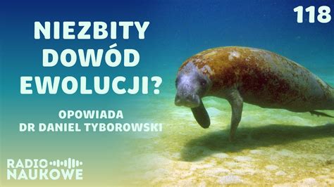 Potęga ewolucji jak ssakom i gadom udało się wrócić do mórz dr