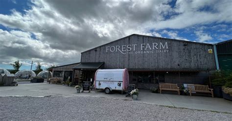 New Forest Farm Café In Aberdeenshire With Pizza And Ice Cream After