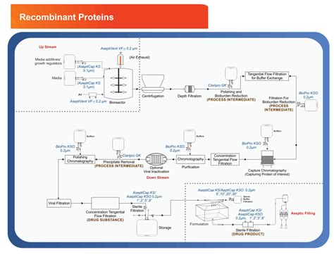 Recombinant Proteins