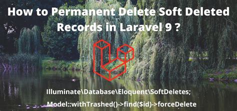 How To Permanent Delete Soft Deleted Records In Laravel