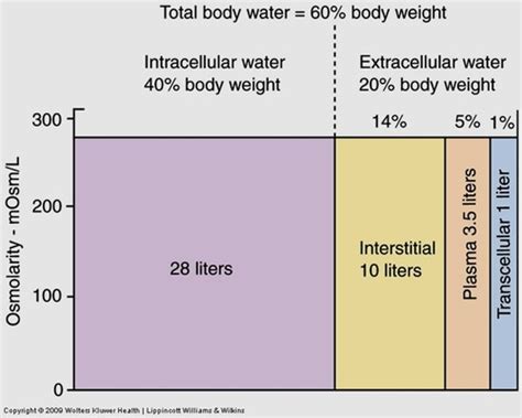 Alterations In Fluids And Electrolytes Acid And Base Imbalance