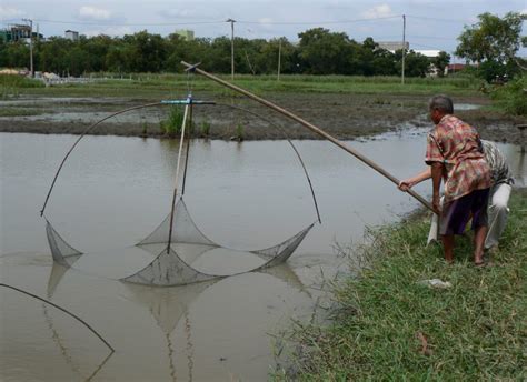 Hand Lifting Net Yor Lek In Thailand Bushguide 101