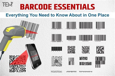 Barcode Essentials Everything You Need To Know