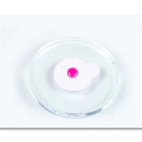Wholesale 1 Sec Drying Time Crystal Clear Eyelash Extension Glue