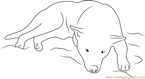 Sleeping Dog Coloring Pages