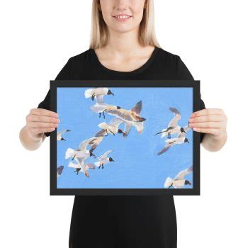 Flock Of Flying Seagulls Framed Print Art By Tina Lewis