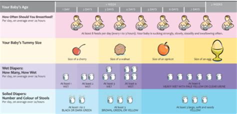 OB Newborn Care Flashcards Quizlet