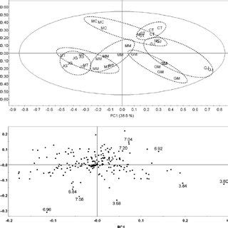 Score A And Loading B Plots Of Principal Component Analysis