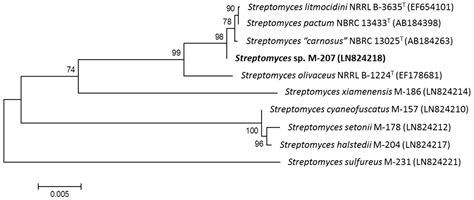 Marine Drugs Free Full Text Lobophorin K A New Natural Product