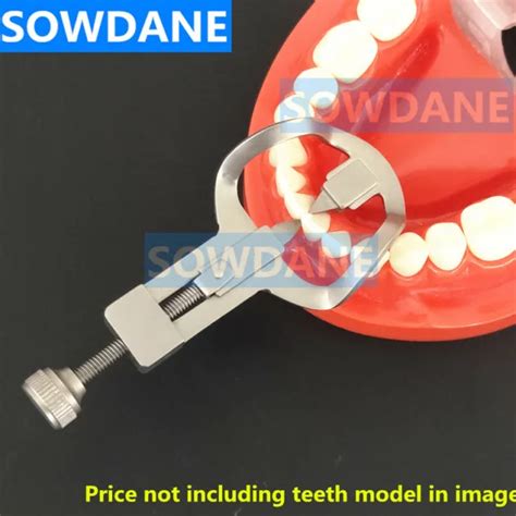 Dental Teeth Seperator Divider Wedge Retainer Anterior Posterior Tooth