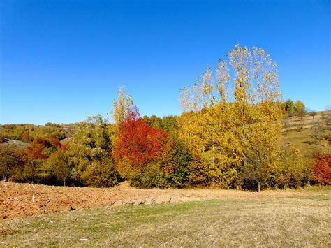 culori de toamnă băseşteanu Flickr