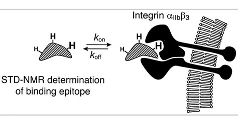 Determination Of The Binding Specificity Of An Integral Membrane