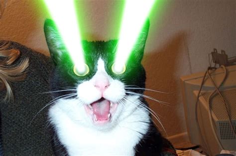 Evil Laser Eye Kitty