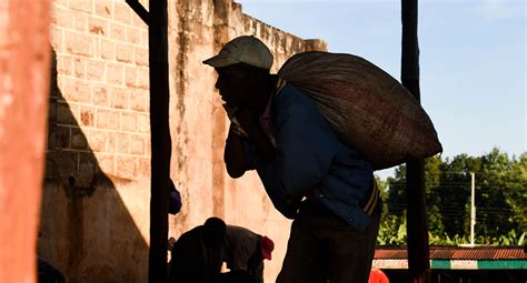 Nyeri, Kenya - Trabocca | In pursuit of great coffee