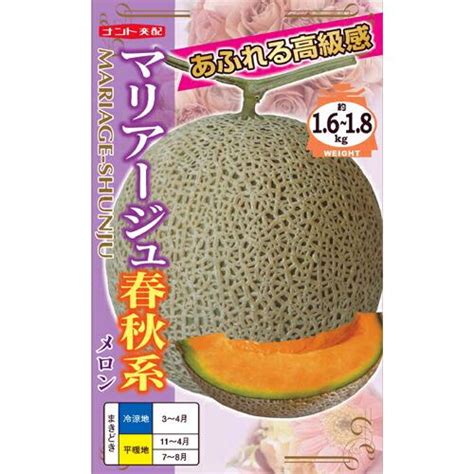 たね ナント種苗 メロン 種子 マリアージュ春秋系（しゅんじゅうけい）100粒 Nanto 0075 種苗・園芸ショップ 種もり