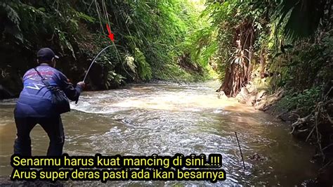 Bikin Panik Mancing Di Arus Super Deras Dapat Tawes Besar Serasa