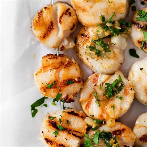 Grilled Scallops