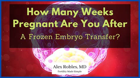 How Many Weeks Pregnant Are You After A Frozen Embryo Transfer? - Alex ...