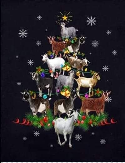 Pin By K Forbes On Goats Christmas Cats Vintage Birthday Cards