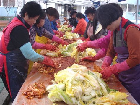 밀양시 사회복지관 사랑의 김장김치 보내기 경남도민일보