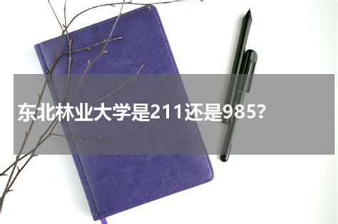 东北林业大学属于211吗还是985？国家级特色专业重点学科是什么？ 皮学网