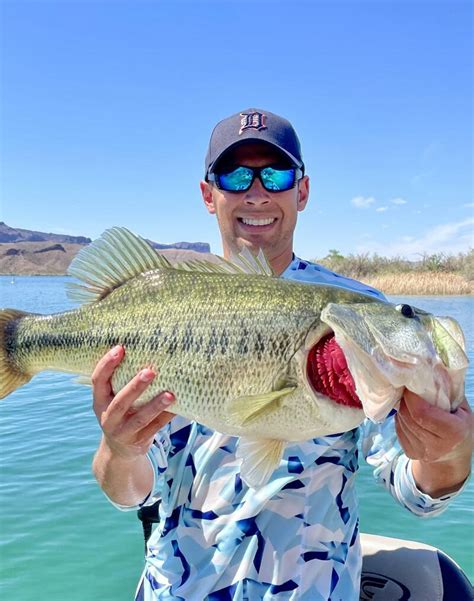 Lake Havasu Fish Report - Havasu City, AZ