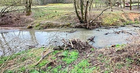 Ungl Ck Auf Heimweg Streit Bei Hochzeitsfeier Frau St Rzte In Bach