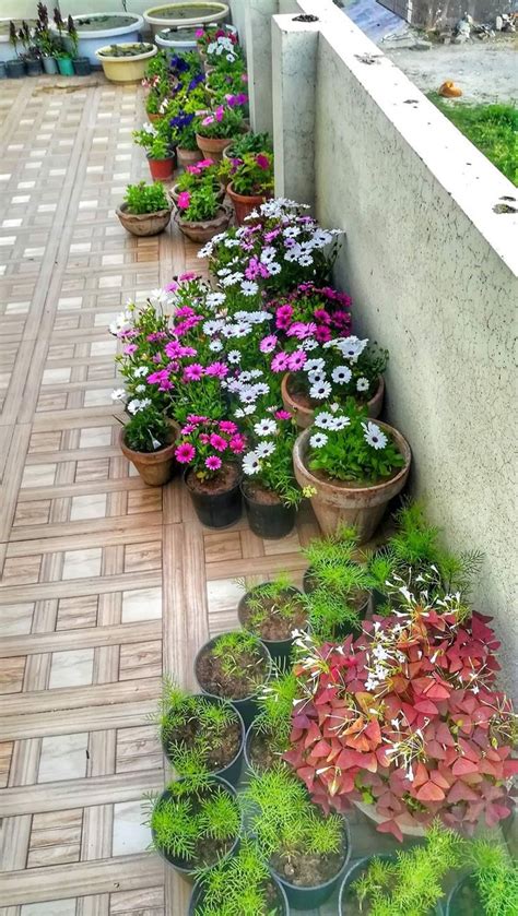 garden ideas flower front yard | Garden projects, Potted plants outdoor, Garden makeover