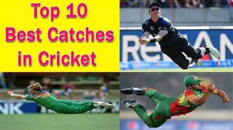 Top Best Catches In Cricket History Till Youtube