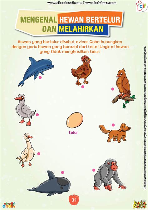 Kumpulan Gambar Mewarnai Anak Tk Pdf – MEDREC07