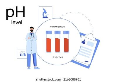 Normal Range Ph Level Human Blood Stock Vector (Royalty Free ...