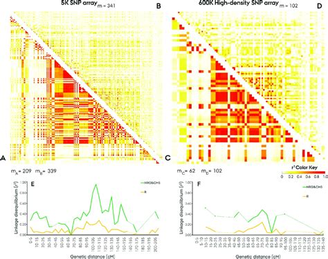 Pairwise Linkage Disequilibrium LD R 2 Across The 7R Rye Chromosome