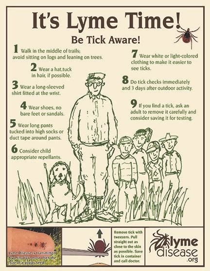 Lyme Disease Awareness