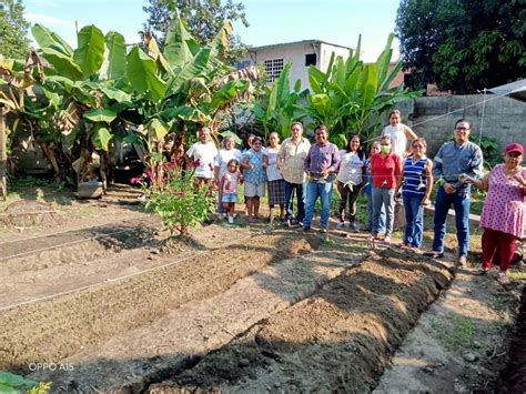 Huertos Familiares Generan Bienestar En Tuxtepec Estado Actual