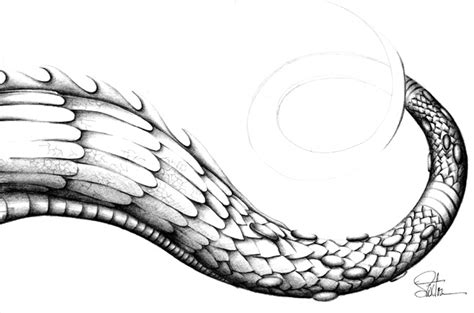 Dragon Scales Drawing at PaintingValley.com | Explore collection of Dragon Scales Drawing