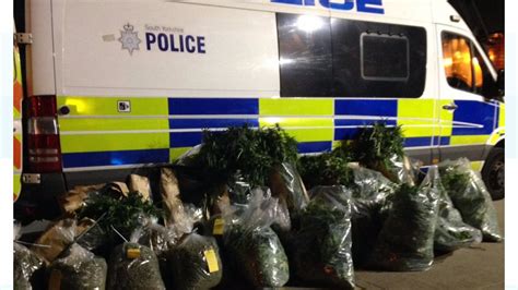 £800000 Of Cannabis Found In Sheffield Drug Factory Haul Itv News Calendar