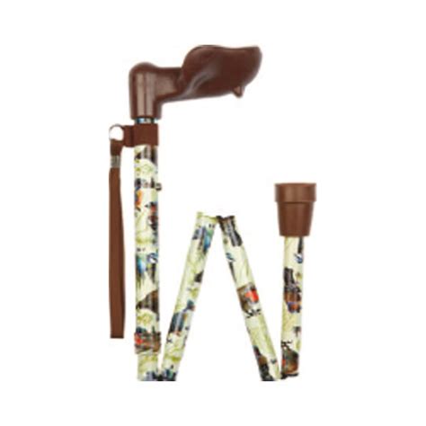 Ziggy Bird Pattern Walking Stick Right Health And Care