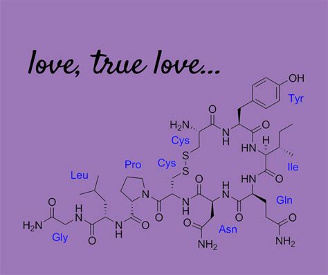 Oxytocin Hormone