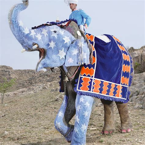 Hindu Painted Elephant