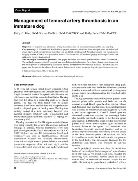 Pdf Management Of Femoral Artery Thrombosis In An Immature Dog