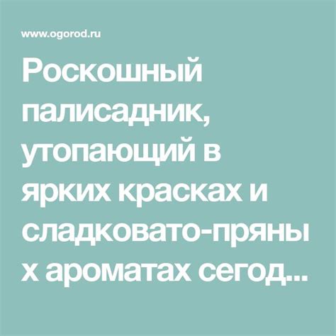 Основы цветового дизайна в саду | Палисадники, Растения, Дизайн