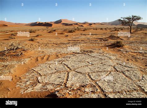 Dunas Y Ver El Desierto Namib Naukluft En Sossusvlei Parque Nacional