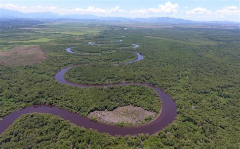 Programa Florestas Do Amanh Edital Destina R Milh Es Em Projetos