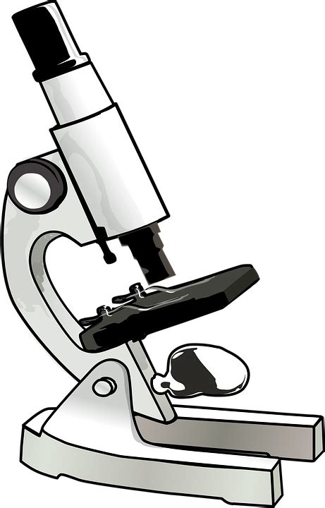 Image vectorielle gratuite: Microscope, Équipement, Médicaux - Image ...