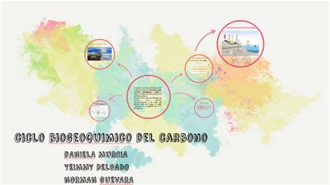 Ciclo Biogeoquimico Del Carbono By On Prezi